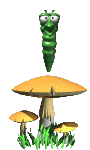 ver champignon.gif